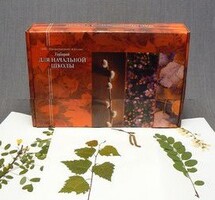 Гербарий для Начальной школы (28 видов) - fgospostavki.ru - Донецк