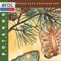 Ботаника. Микрофотографии. (Цифровая база изображений) - fgospostavki.ru - Донецк