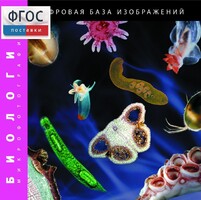 Биология. Микрофотографии. (Цифровая база изображений) - fgospostavki.ru - Донецк