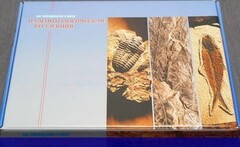 Коллекция "Палеонтологическая" (16 образцов) - fgospostavki.ru - Донецк