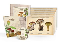 Комбинированное наглядное пособие  «Грибы» - fgospostavki.ru - Донецк