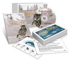 Комбинированное наглядное пособие «Животные» - fgospostavki.ru - Донецк