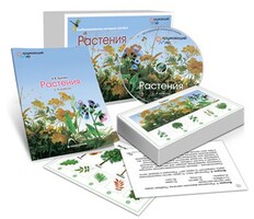 Комбинированное наглядное пособие «Растения» - fgospostavki.ru - Донецк