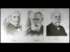 Портреты биологов (26 штук, формат А3) - fgospostavki.ru - Донецк
