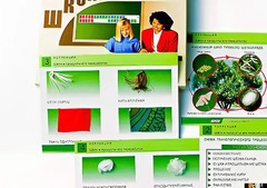 Коллекция "Шелк и продукты его переработки" (средняя школа) - fgospostavki.ru - Донецк