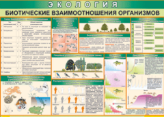 Таблица "Биотические взаимоотношения организмов" (100х140 сантиметров, винил) - fgospostavki.ru - Донецк