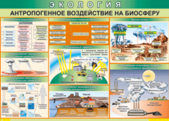 Таблица "Антропогенное воздействие на биосферу" (100х140 сантиметров, винил) - fgospostavki.ru - Донецк