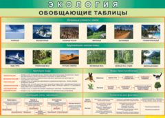 Таблица "Экология. Обобщающие таблицы" (100х140 сантиметров, винил) - fgospostavki.ru - Донецк