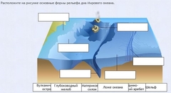 Интерактивные курсы. География 7 класс . Базовый. - fgospostavki.ru - Донецк