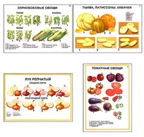 Плакаты ПРОФТЕХ "Ассортимент овощных культур" (12 пл, винил, 70х100) - fgospostavki.ru - Донецк