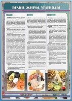 Стенд "Белки. Жиры. Углеводы" - fgospostavki.ru - Донецк