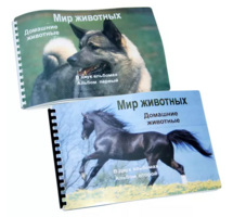 Пособие для слабовидящих - Домашние животные - fgospostavki.ru - Донецк