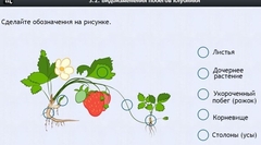 Интерактивные курсы. Биология 7 класс. Расширенный. - fgospostavki.ru - Донецк
