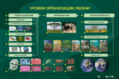 Электрифицированный стенд "Уровни организации жизни" - fgospostavki.ru - Донецк