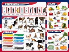 Стенд "Цвета, животные, профессии, фрукты, овощи" - fgospostavki.ru - Донецк