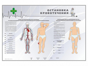 Электрифицированный стенд "Остановка кровотечения" - fgospostavki.ru - Донецк
