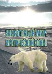 DVD "Животный мир Арктической зоны" - fgospostavki.ru - Донецк