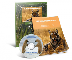 Электронное наглядное пособие «Млекопитающие» - fgospostavki.ru - Донецк