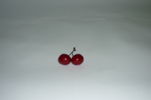 Муляж "Вишня" - fgospostavki.ru - Донецк