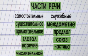Набор магнитных карточек "Части речи" (фон зелёный) - fgospostavki.ru - Донецк