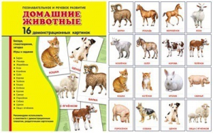 Демонстрационные карточки "Домашние животные" - fgospostavki.ru - Донецк