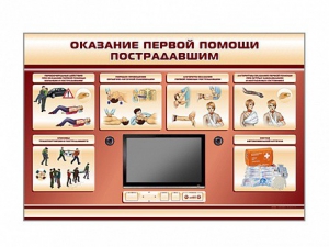 Многофункциональный интерактивный стенд-тренажер "Оказание первой помощи пострадавшим" для учащихся общеобразовательных учреждений - fgospostavki.ru - Донецк