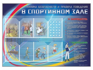 Стенд-уголок "Техника безопасности и правила поведения в спортивном зале" - fgospostavki.ru - Донецк