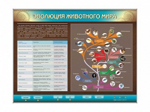 Интерактивный электрифицированный стенд "Эволюция животного мира" - fgospostavki.ru - Донецк