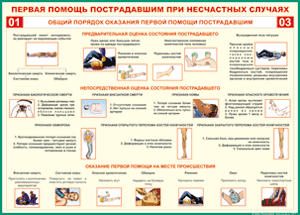 Таблица "Общий порядок оказания первой помощи пострадавшим" (100х140 сантиметров, винил) - fgospostavki.ru - Донецк