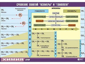 Таблица демонстрационная "Сравнение понятий изомер и гомолог" (винил 70x100) - fgospostavki.ru - Донецк