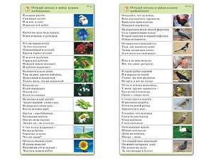 Комплект карточек (10) "Обучающий калейдоскоп. Природа" - fgospostavki.ru - Донецк