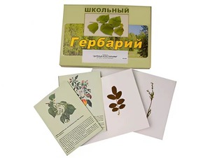Гербарий "Деревья и кустарники" (22 вида, с иллюстрациями) - fgospostavki.ru - Донецк