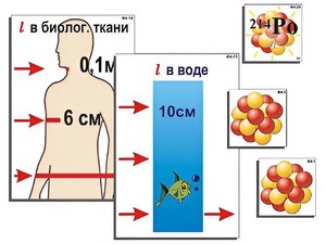 Модель-аппликация "Явление радиоактивности" (ламинированная) - fgospostavki.ru - Донецк