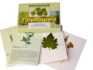 Гербарий "Систематика растений. Высшие споровые и семенные" (раздаточный) - fgospostavki.ru - Донецк
