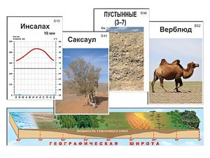 Модель-аппликация "Природные зоны" - fgospostavki.ru - Донецк
