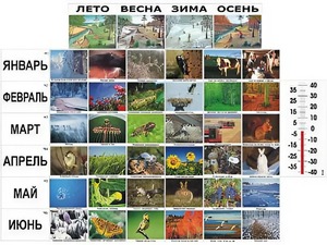 Фенологические наблюдения - fgospostavki.ru - Донецк
