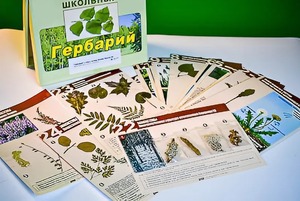 Гербарий к курсу основ общей биологии - fgospostavki.ru - Донецк