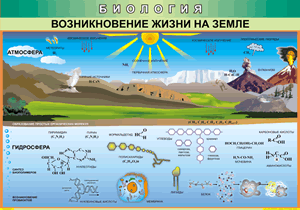 Таблица "Возникновение жизни на земле" (100х140 сантиметров, винил) - fgospostavki.ru - Донецк
