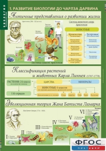 Комплект таблиц. Биология 10-11 класс. Эволюционное учение. - fgospostavki.ru - Донецк