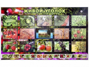 Комплект оборудования "Живой уголок" (растения) с тифлопереводом и сурдокомментариями - fgospostavki.ru - Донецк