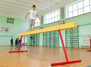 Бревно гимнастическое напольное постоянной высоты (700 мм) (5 м) - fgospostavki.ru - Донецк