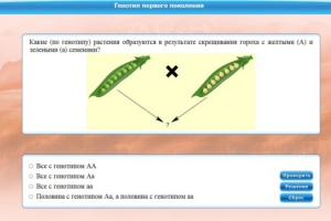 Интерактивные курсы. Биология 11 класс. Базовый. - fgospostavki.ru - Донецк