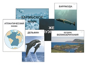 Модель-аппликация "Океаны. Знакомство" (ламинированная) - fgospostavki.ru - Донецк