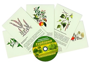 Интерактивный наглядный комплекс "Гербарий "Для начальной школы" - fgospostavki.ru - Донецк