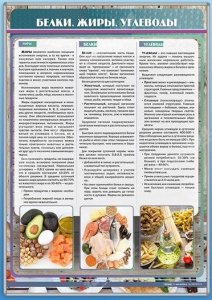 Стенд "Белки. Жиры. Углеводы" - fgospostavki.ru - Донецк