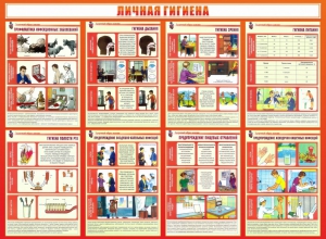 Стенд "Личная гигиена" - fgospostavki.ru - Донецк
