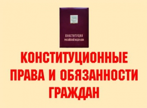 Комплект плакатов "Конституционные права и обязанности граждан" - fgospostavki.ru - Донецк