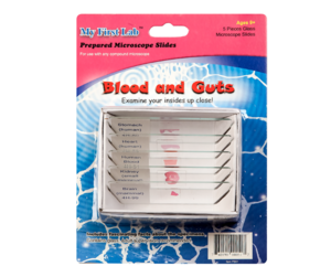 Набор микропрепаратов для микроскопа №1 «Человек» - fgospostavki.ru - Донецк