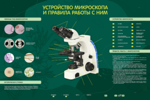 Электрифицированный стенд "Устройство микроскопа и правила работы c ним" - fgospostavki.ru - Донецк