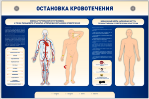 Электрифицированный стенд-тренажер "Остановка кровотечения" - fgospostavki.ru - Донецк